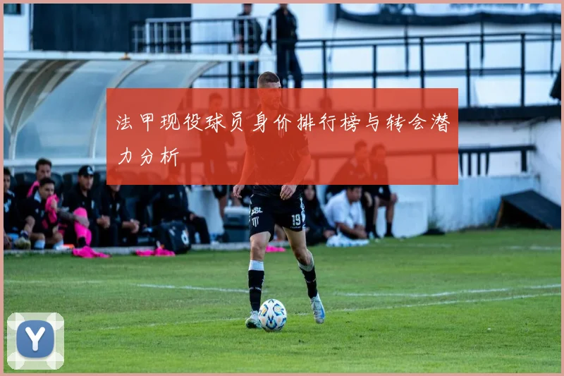 法甲现役球员身价排行榜与转会潜力分析