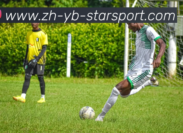 星空体育APP 封面图